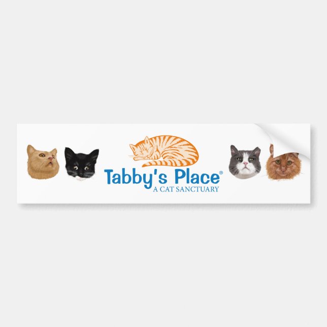 pegatina para el parachoques del Multi-retrato (Frente)