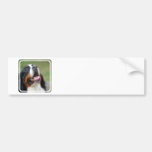 Pegatina para el parachoques del perro de Berner