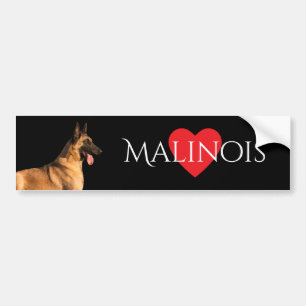 Pegatina para el parachoques del perro de Malinois