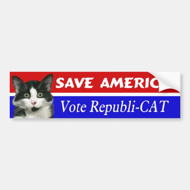 Pegatina para el parachoques del Republi-CAT del (Frente)