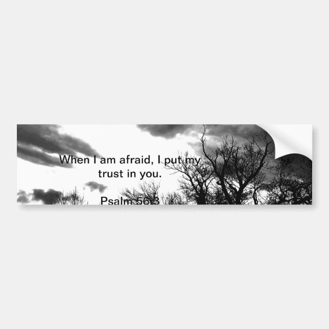 Pegatina para el parachoques del verso de la (Frente)