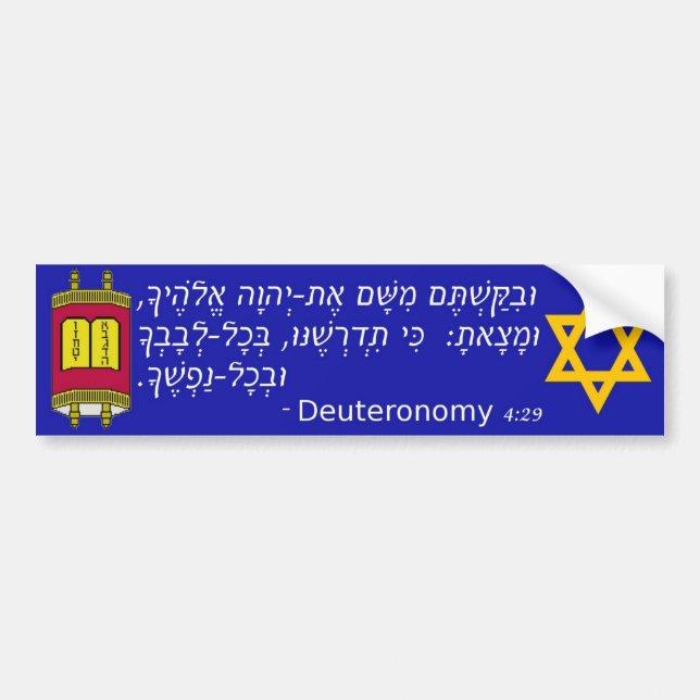 Pegatina para el parachoques judía de Torah del (Frente)