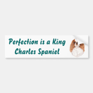 Pegatina para el parachoques: Perro de aguas de