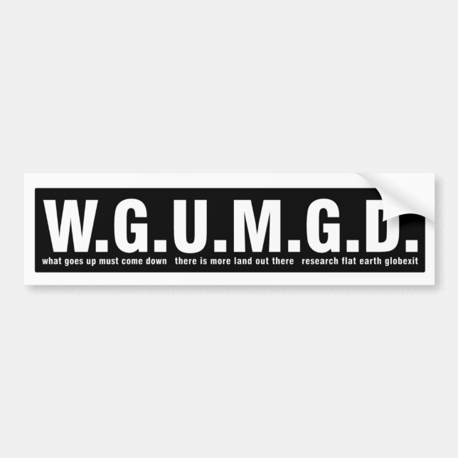 PEGATINA PARA EL PARACHOQUES PLANA DE LA TIERRA DE (Frente)