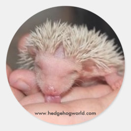 Pegatina para lactantes