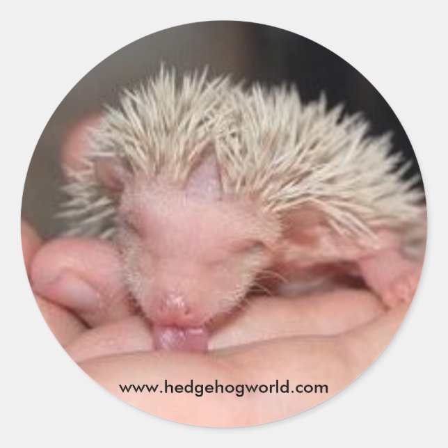 Pegatina para lactantes (Anverso)