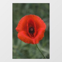 Pegatina para Ventana - Fotografía de Naturaleza F