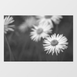 Pegatina para Ventana - Margaritas Flor BN