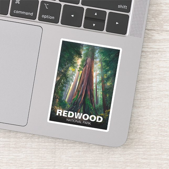 Pegatina Parque estatal de secuoya, Coastal California (Detalle)