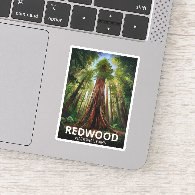 Pegatina Parque estatal de secuoya, Coastal California (Detalle)