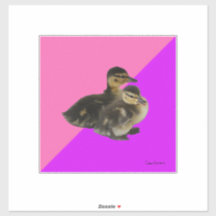 Patitos sobre frambuesa rosa y sorbete morado