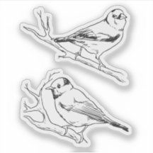 Patrón de arte lineal de aves norteamericanas mini