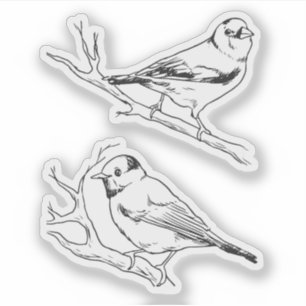Pegatina Patrón de arte lineal de aves norteamericanas mini