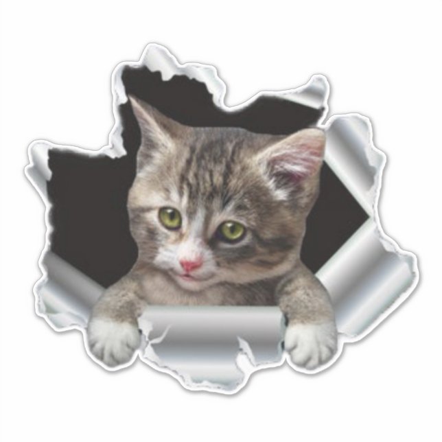 Pegatina Peeking Cat Vinyl Decal |Calcomanía del coche, peg (Anverso)