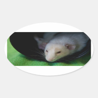 PEGATINA PEEWEE OVAL