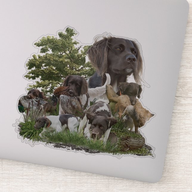 Pegatina Pequeño Munsterlander (Detalle)