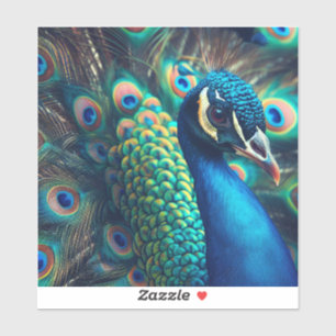 Pegatina Perfil de Peacock