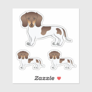 Pegatina Perrito Dachshund Pelo Corto Chocolate y Tan Pied