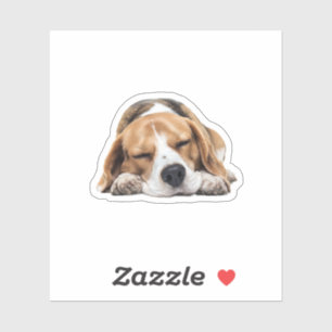 Pegatina Perro Beagle Sleepy - Acogedor y acogedor diseño d
