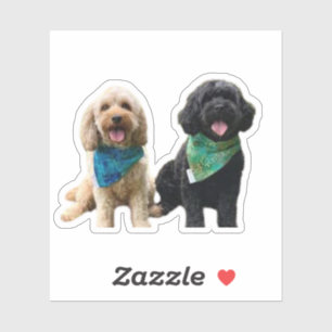 Pegatina Perro Cavapoo Cavoodle Cockerpoo Puppy Designer