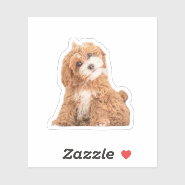 Pegatina Perro Cavapoo Cavoodle Cockerpoo Puppy Designer (Hoja)