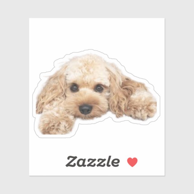 Pegatina Perro Cavapoo Cavoodle Cockerpoo Puppy Designer (Hoja)
