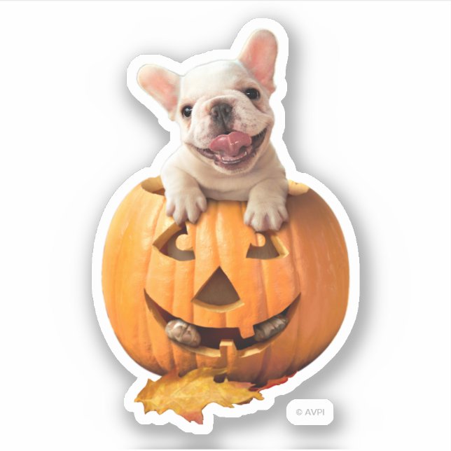 Pegatina Perro en Jack-o-Lantern (Anverso)