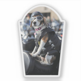 Pegatina Perro gracioso en motocicleta con foto de gafas de