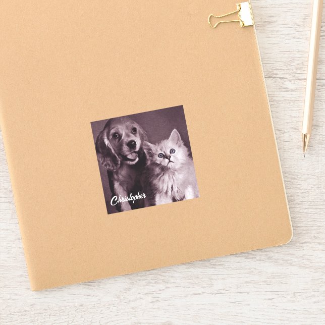 Pegatina Perro y gato, buscando personalizado (Cuaderno)