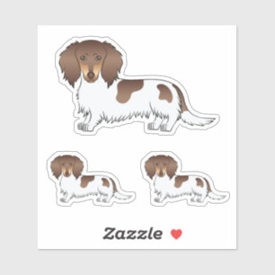 Pegatina Perros Dachshund De Pelo Largo Piebald De Chocolat
