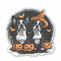 Perros de Halloween Boston Terrier