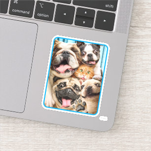 Pegatina Perros y una foto de un grupo de gatos