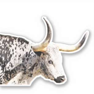 Pegatina Personalizado de arte fotográfico de vaca longhorn
