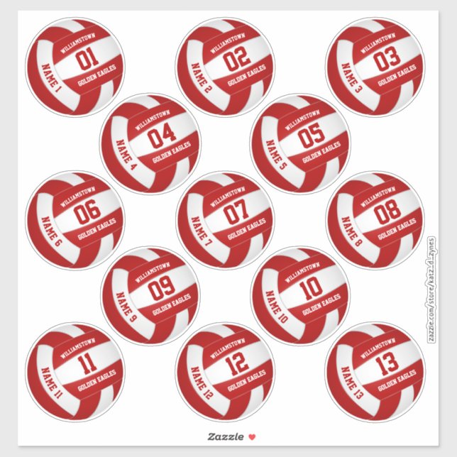 Pegatina personalizado del equipo de voleibol fiesta 13 (Hoja)