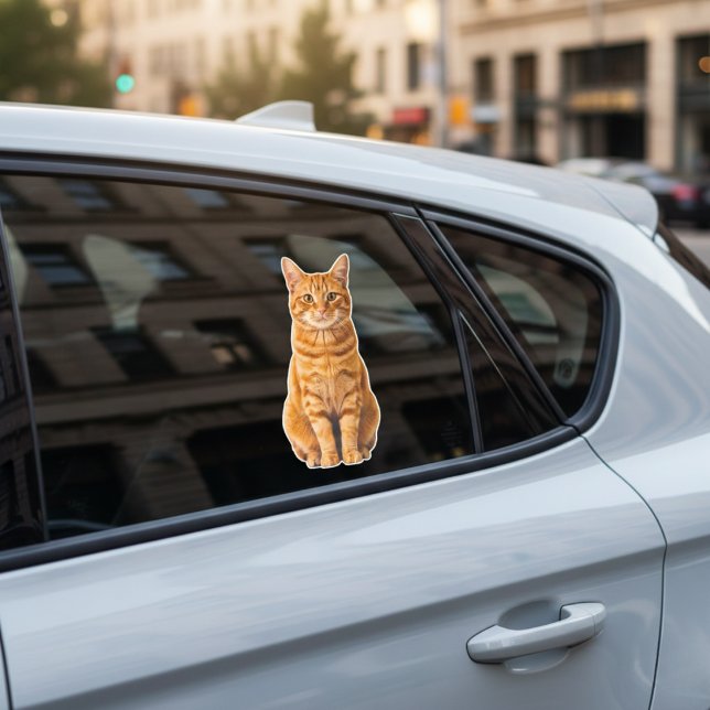 Pegatina Personalized Pet Photo Car Window Sticker (Your Cat's Face, Your Car's New Decal.)
