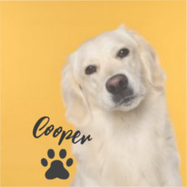 Pegatina Personalized Pet Photo Dog Lover with Photo