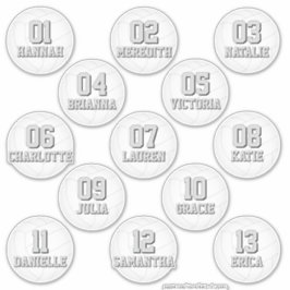 Pegatina personalized volleyball stickers for 13 girls boys