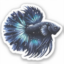 Pescado Betta negro y azul