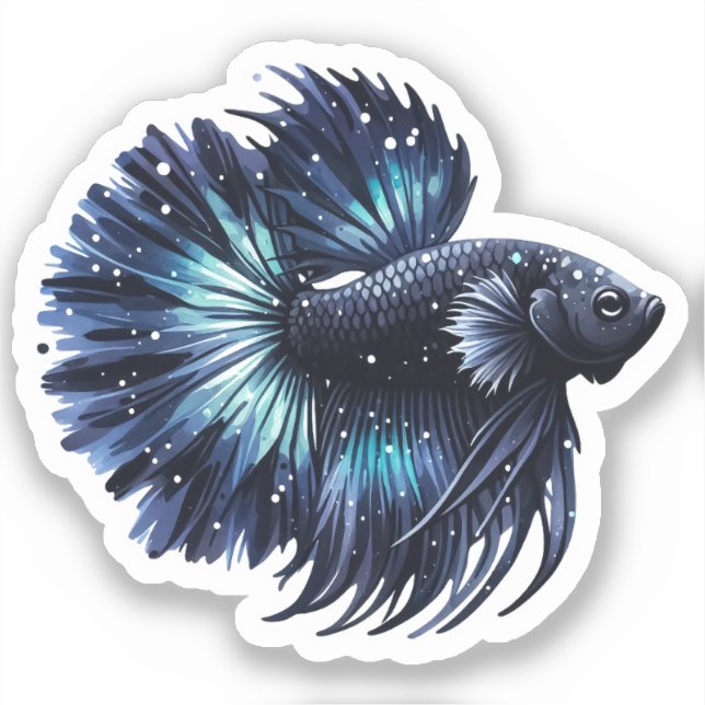 Pegatina Pescado Betta negro y azul (Anverso)