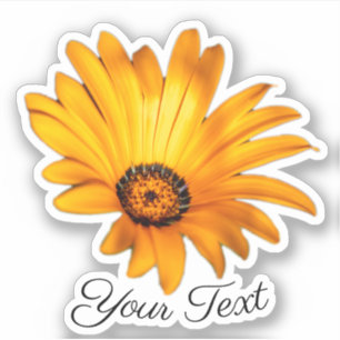 Pegatina Pétalos de flores amarillas de la flor naranja en 