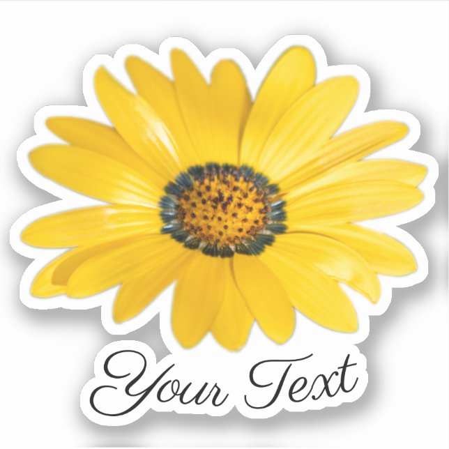 Pegatina Pétalos de flores amarillas de naranja floreciente (Anverso)