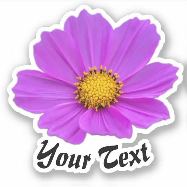 Pegatina Pétalos de flores rosadas con estampillas amarilla (Anverso)