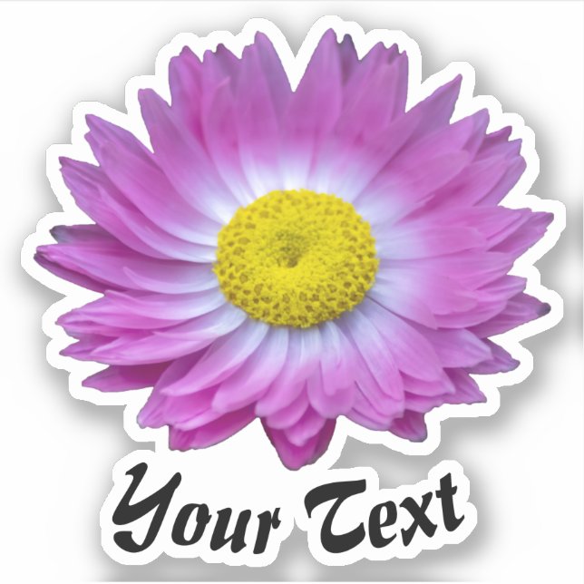 Pegatina Pétalos de flores rosadas con estampillas amarilla (Anverso)