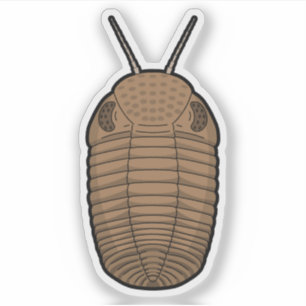 Pegatina Phacops marrones Trilobita- Vinilo animal prehistó