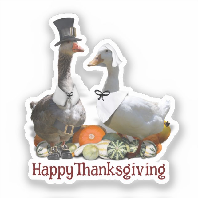 Pegatina Pilgrim Goose Duck Thanksgiving  (Anverso)
