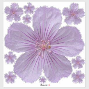 Pegatina Pineywoods Geranium #1