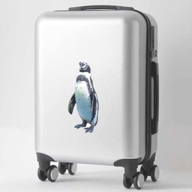 Pegatina Pingüino acuático (Maleta)