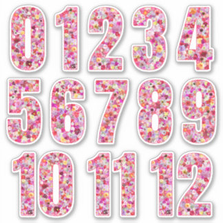 Pegatina Pink Floral Numbers Twelve Months 