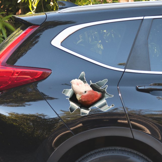 Pegatina Pink Galah Parrot Sticker – Australian Bird Decal (Lado del coche)