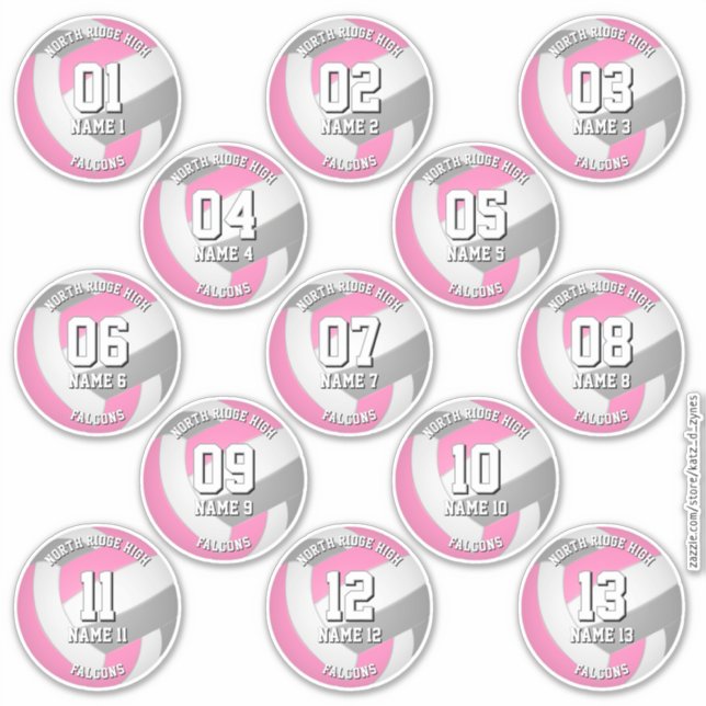 Pegatina pink gray volleyball team stickers 13 athletes (Anverso)